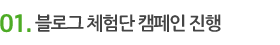 블로그 체험단 캠페인 진행